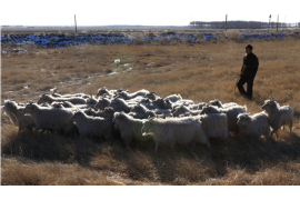 小金小金专业催债公司，专业催收